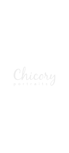 Chicory v01.01 